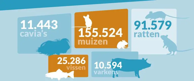 Infographics voor Stichting Proefdiervrij