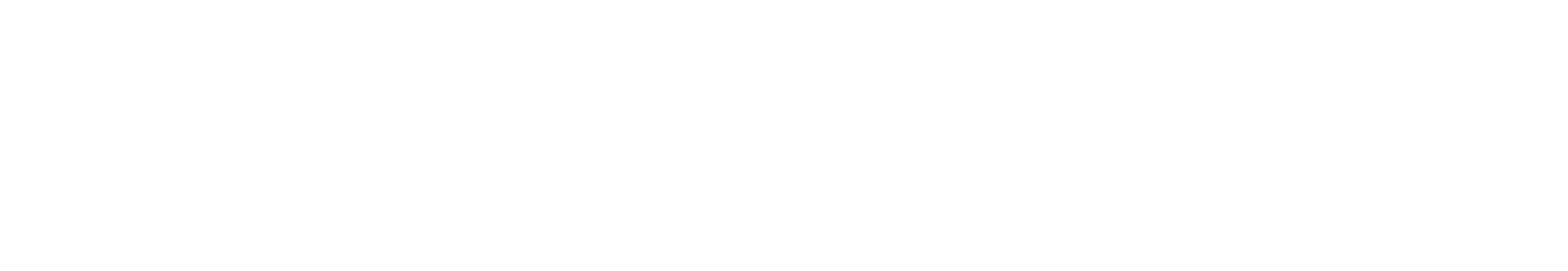Logo Essensor
