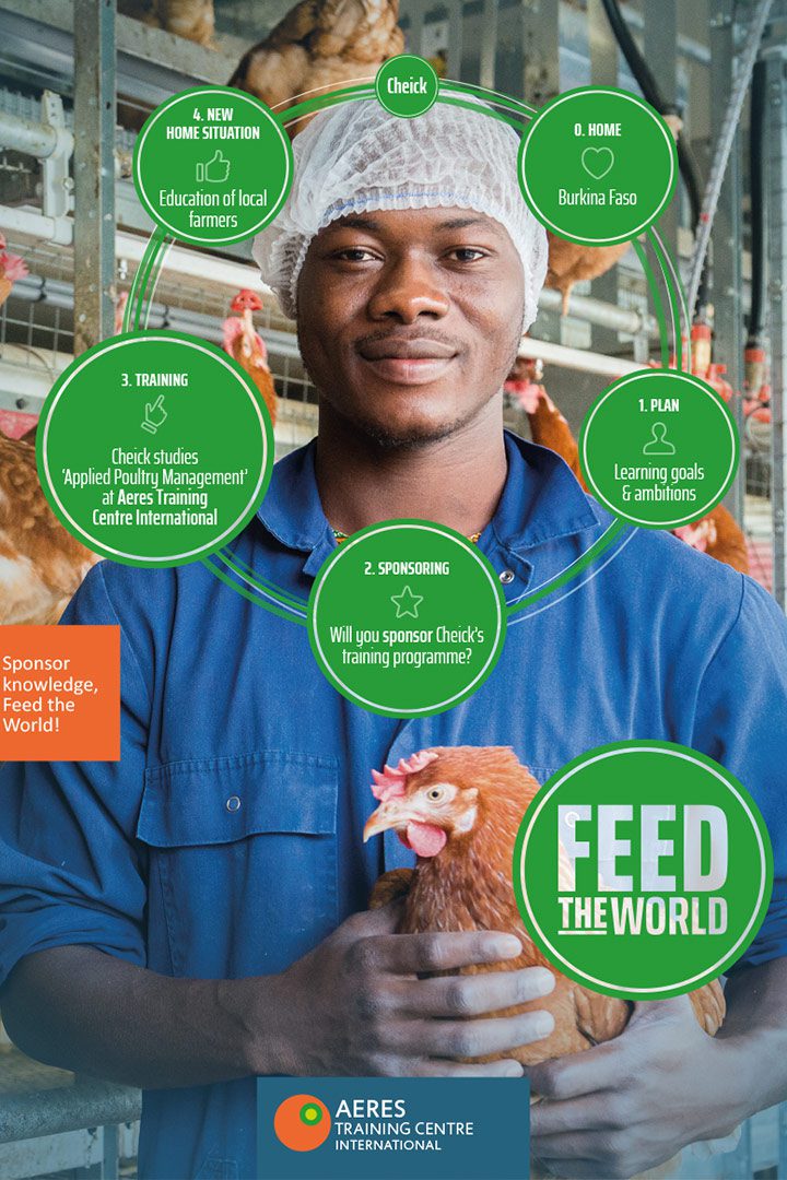 Bengelmedia Feed The World 01