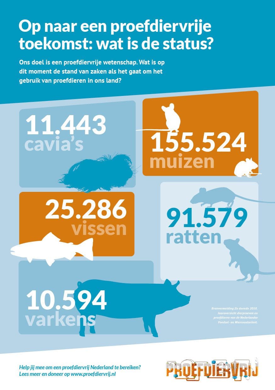 Bengelmedia Proefdiervrij Infographic 1