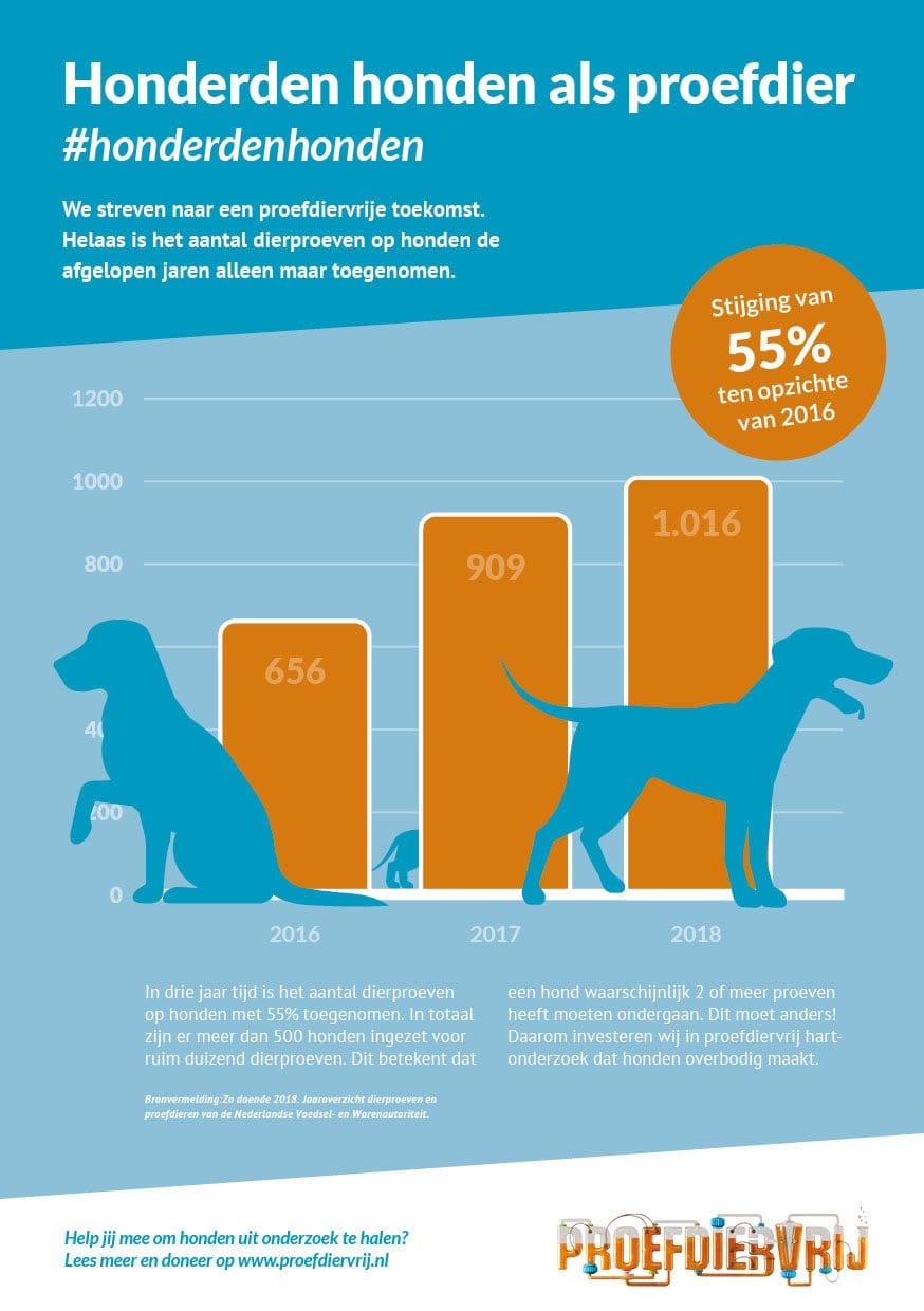 Bengelmedia Proefdiervrij Infographic 3