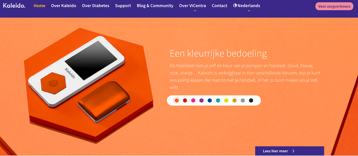 Kaleido Website2