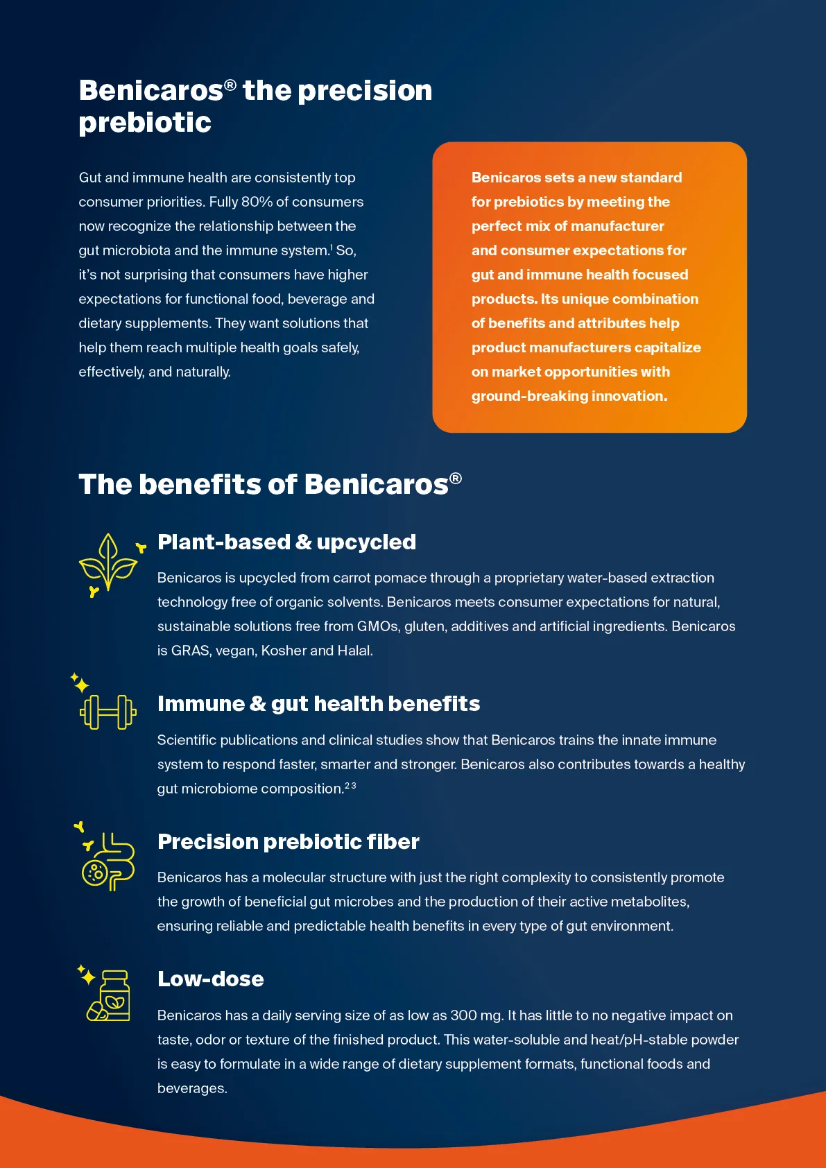 Benicaros Flyer 01