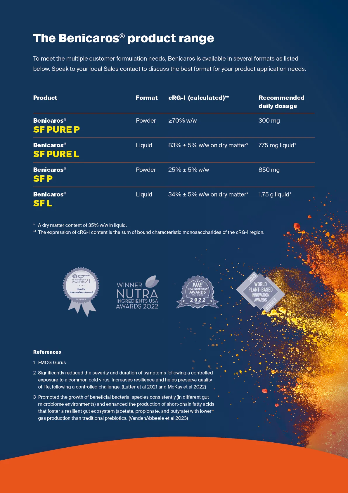 Benicaros Flyer 02