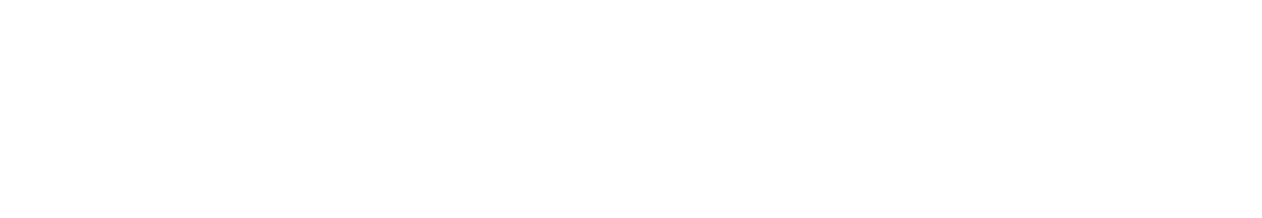 Logo Essensor